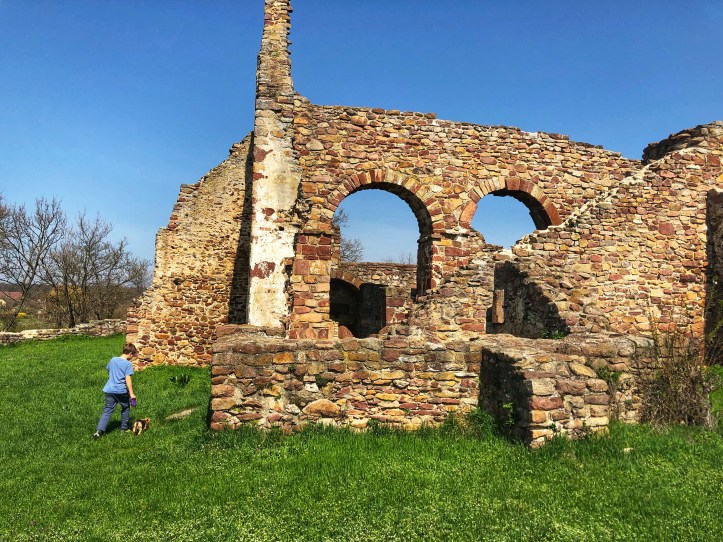 BDBD0ED7-48FF-4C31-86D7-E94874FEDEF9